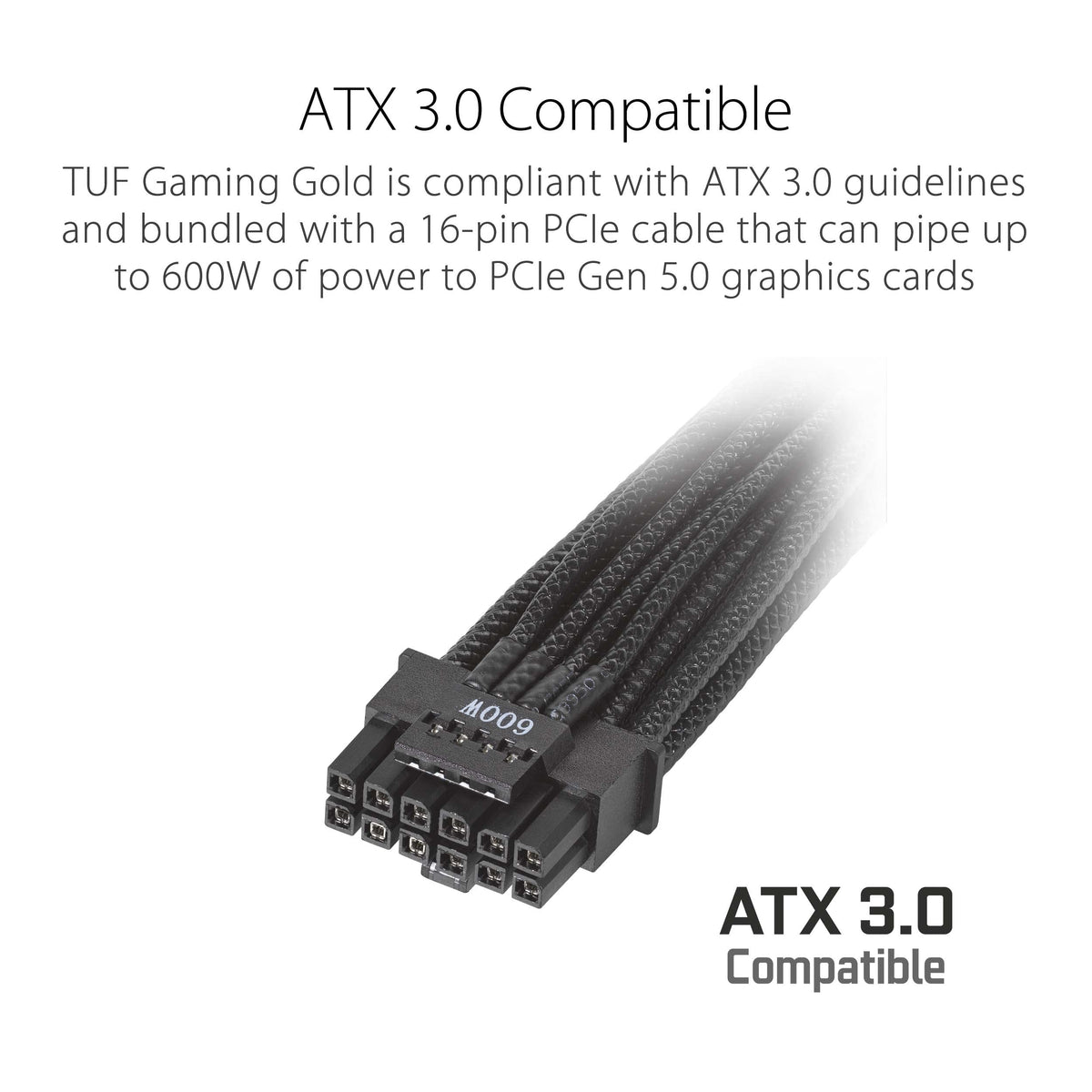 1200W Fully Modular 80+ Gold ATX 3.1 Power Supply L450