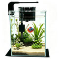 2 Gallon Betta Fish Tank with Filter and Light D5894