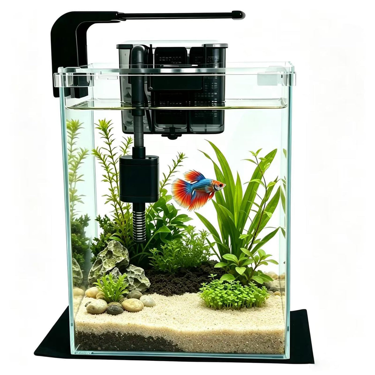 2 Gallon Betta Fish Tank with Filter and Light D5894