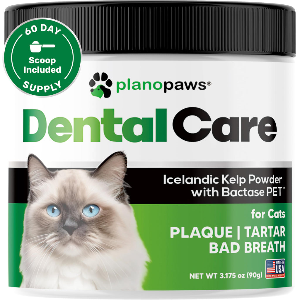 Dental Powder for Teeth Cleaning W408
