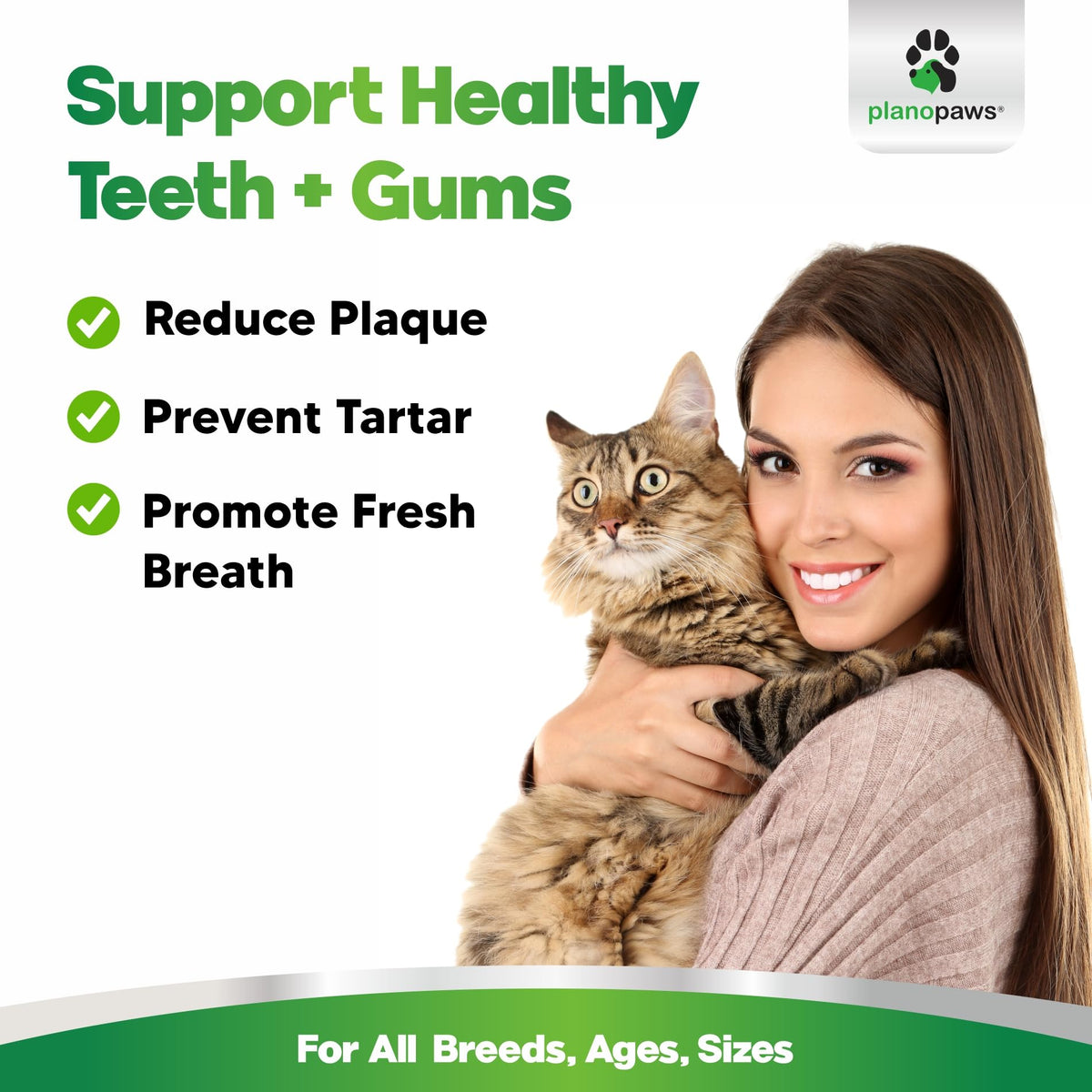 Dental Powder for Teeth Cleaning W408