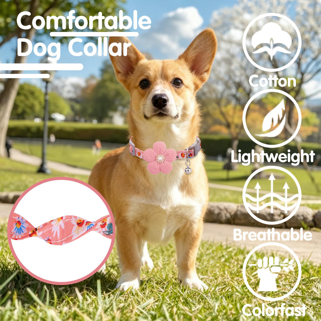 Small Dog Collar with Flower and Bell R145