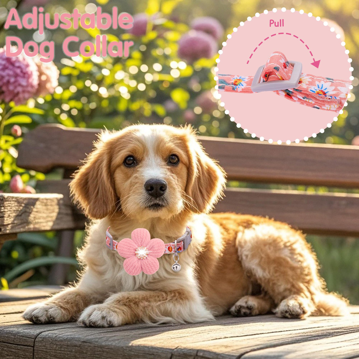 Small Dog Collar with Flower and Bell R145